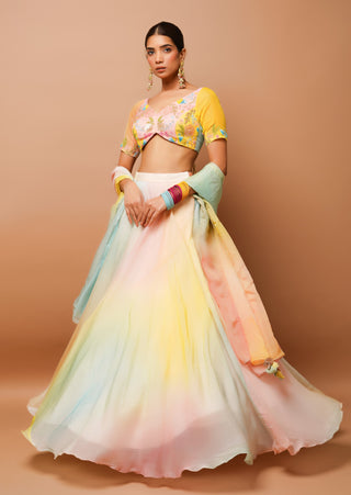 Rainbow hand painted lehenga set