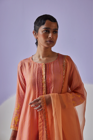 Coral pleat kurta set