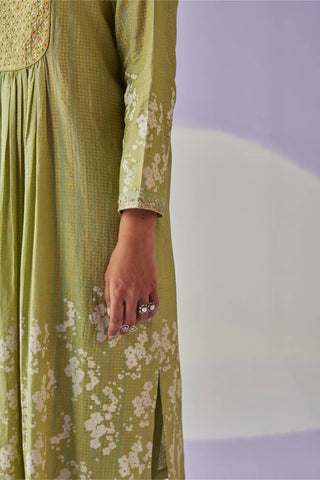 Green yoke kurta set