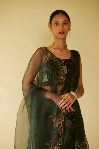 Green dareecha saree and blouse piece