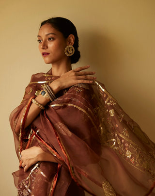 Brown meera saree and blouse piece