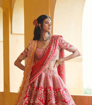 Red bird motif lehenga choli set