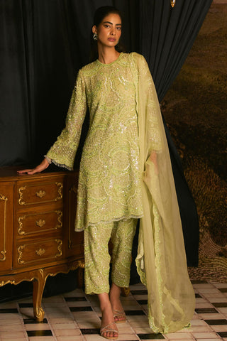 Kiwi green embroidered kurta & salwar set