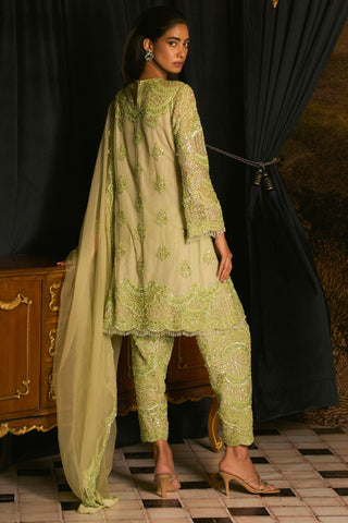 Kiwi green embroidered kurta & salwar set