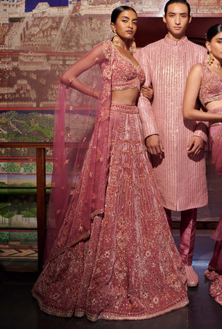 Mauve velvet embroidered lehenga set