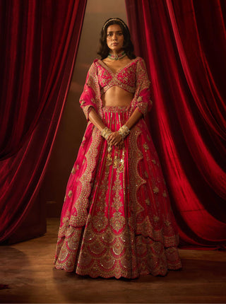 Rani pink aakruti embroidered lehenga set