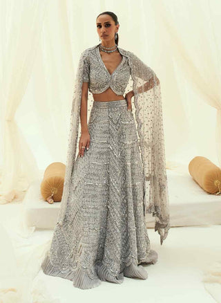 Ziba gray net lehenga set