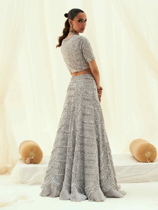 Ziba gray net lehenga set