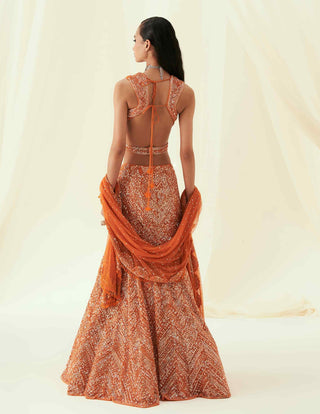 Sara orange fish cut lehenga set