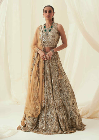 Amira golden toned lehenga set