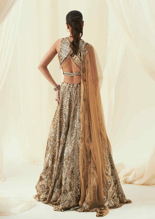 Amira golden toned lehenga set