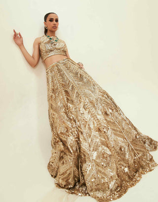 Amira golden toned lehenga set