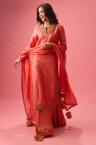 Red apple cut kurta with double layer organza paired with dupatta