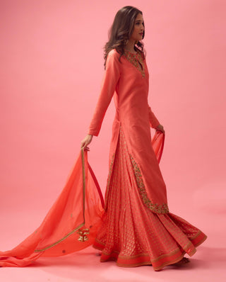 Red apple cut kurta with double layer organza paired with dupatta