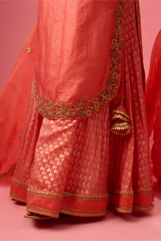 Red apple cut kurta with double layer organza paired with dupatta