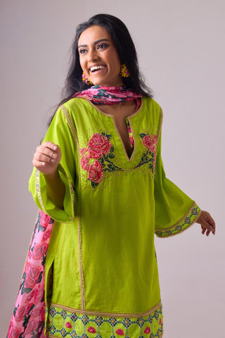 Green cotton solid lime straight rose appilique kurta paired with printed salwar and dupatta