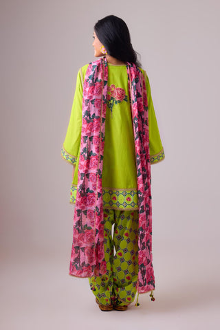 Green cotton solid lime straight rose appilique kurta paired with printed salwar and dupatta