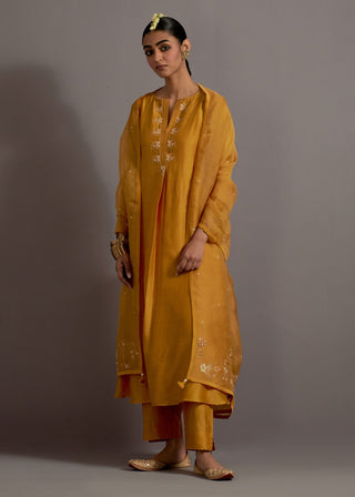 Mustard yellow embroidered back pleated kurta set