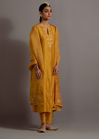 Mustard yellow embroidered back pleated kurta set