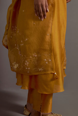 Mustard yellow embroidered back pleated kurta set