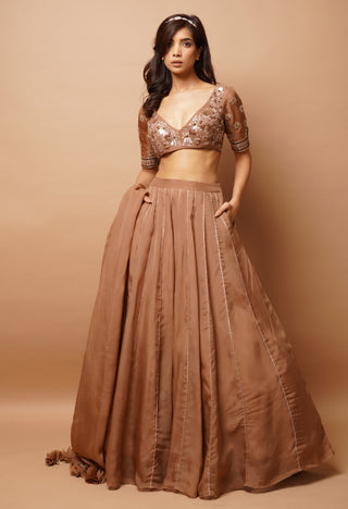 Golden brown lehenga set