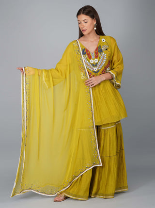 Citrus green applique yoke gharara set