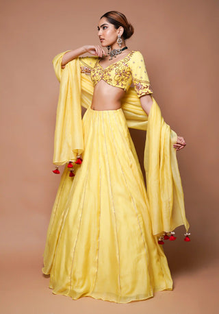 Yellow chanderi lehenga set