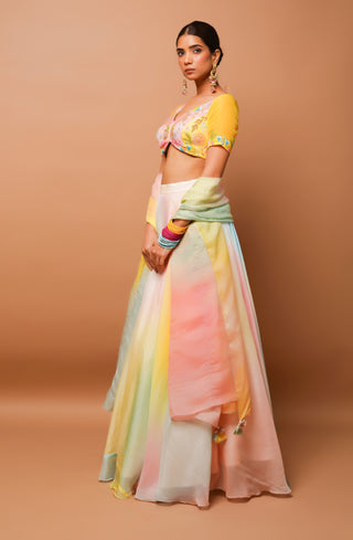 Rainbow hand painted lehenga set