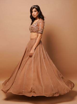 Golden brown lehenga set