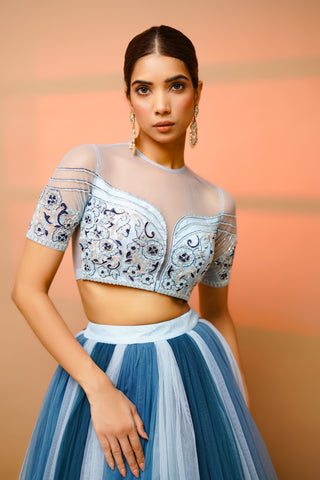 Blue net lehenga and blouse