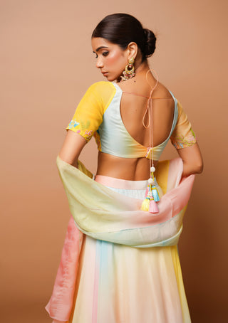 Rainbow hand painted lehenga set