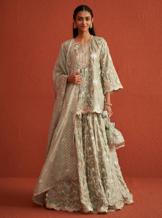 Fitoor sage green kurta and lehenga set