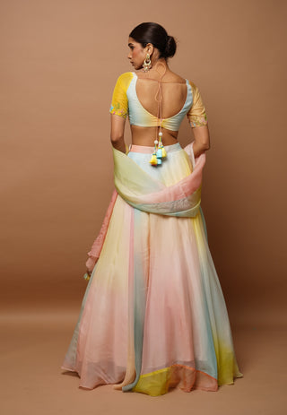 Rainbow hand painted lehenga set