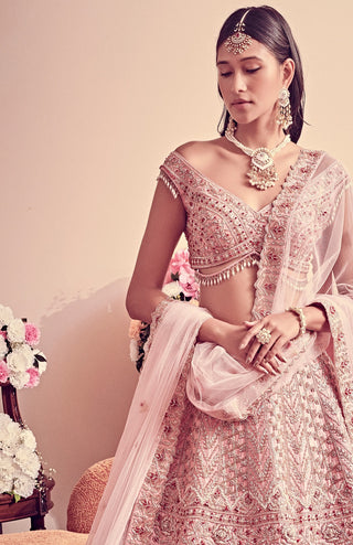 Blush pink embroidered lehenga set