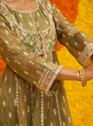 Genda sage green anarkali set