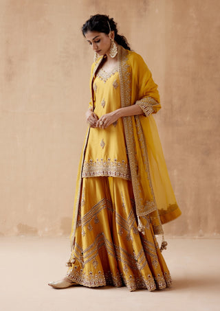 Mustard gold floral sharara set