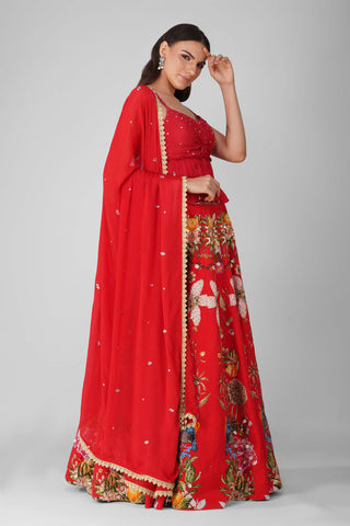 Red sky garden printed lehenga set