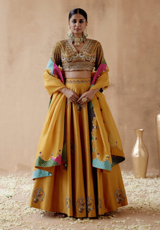 Mustard dupion silk lehenga set