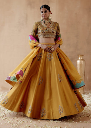 Mustard dupion silk lehenga set