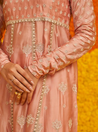 Palki pink anarkali set