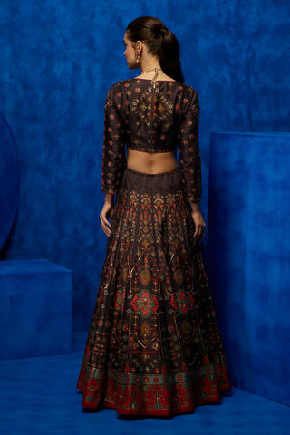 Brown printed lehenga and blouse with red dupatta