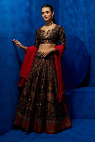 Brown printed lehenga and blouse with red dupatta