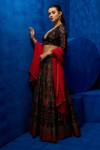 Brown printed lehenga and blouse with red dupatta