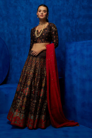 Brown printed lehenga and blouse with red dupatta