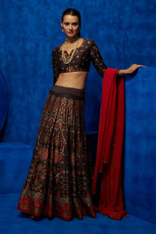 Brown printed lehenga and blouse with red dupatta