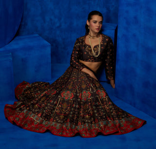 Brown printed lehenga and blouse with red dupatta