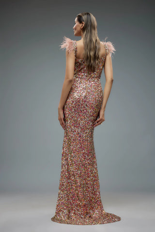 Multicolour net sequence gown