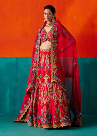 Blood red gold embroidered lehenga set