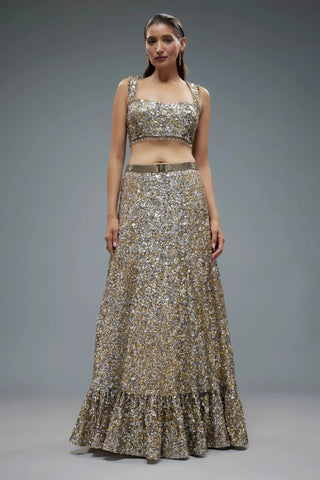 Beige net sequence embroidered lehenga