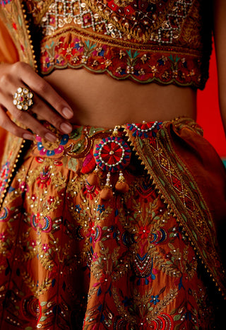 Cider floral embroidery lehenga set